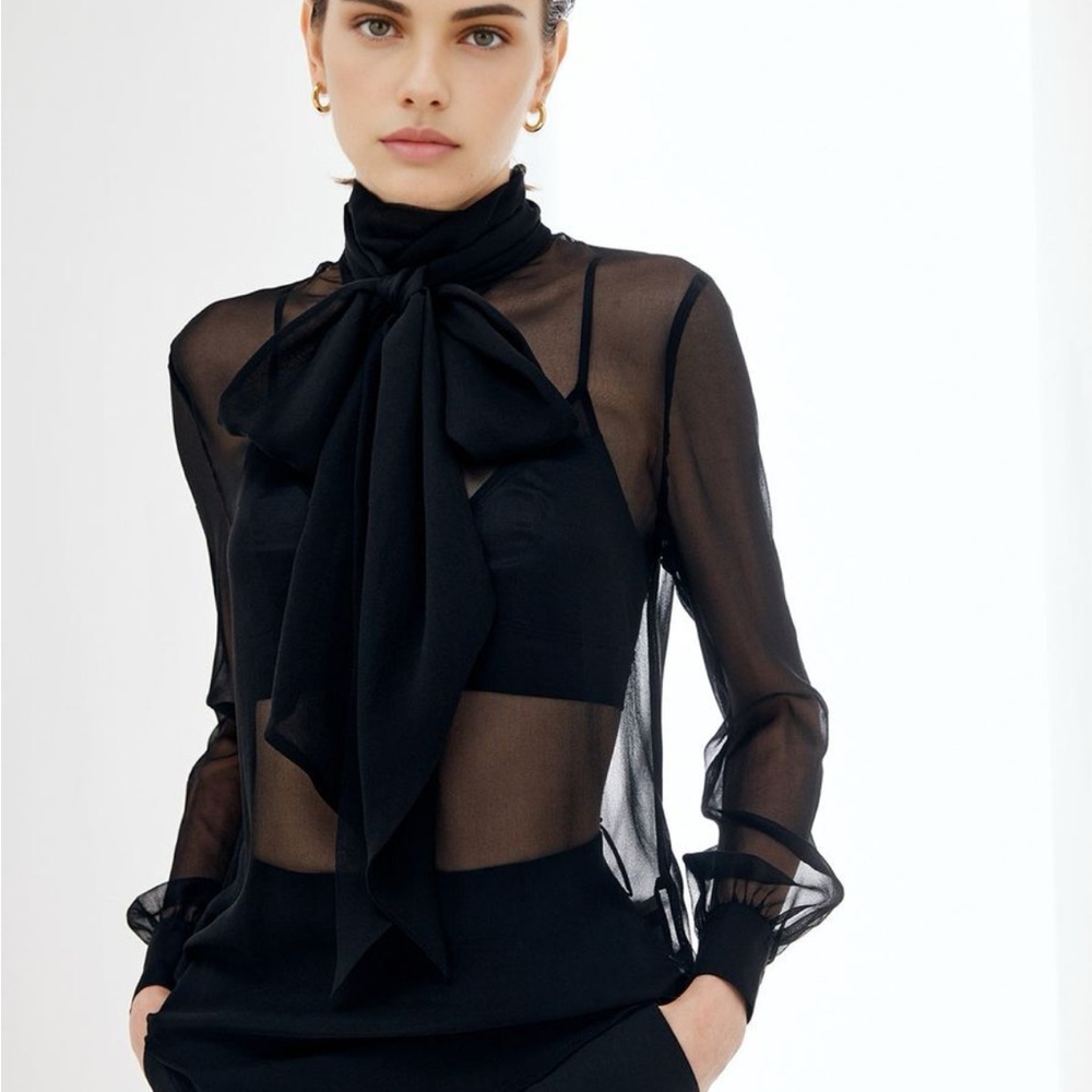 Elegant Black Sheer Bow Blouse